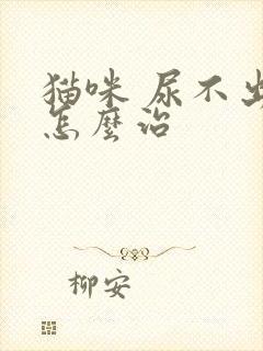 猫咪 尿不出尿怎么治