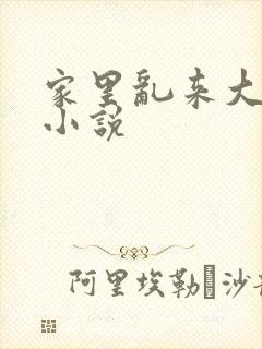 家里乱来大杂烩小说