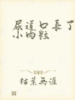 尿道口长了两个小肉粒