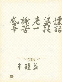 感谢老婆怀孕的辛苦一段话