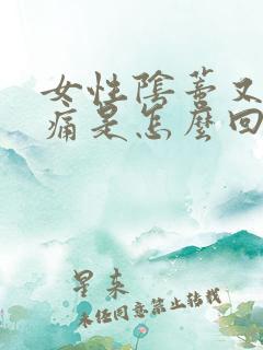 女性阴蒂又痒又痛是怎么回事