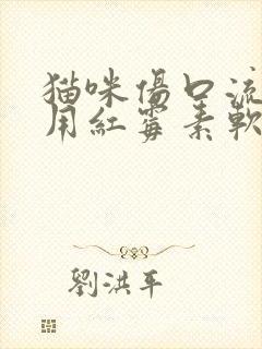 猫咪伤口流脓能用红霉素软膏吗