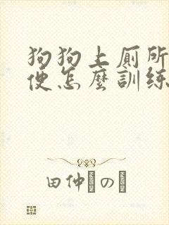 狗狗上厕所大小便怎么训练