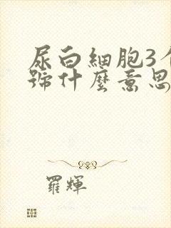 尿白细胞3个加号什么意思