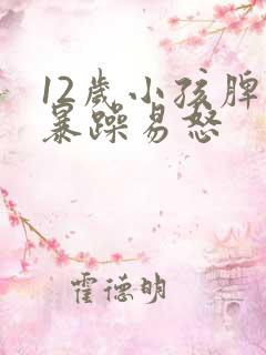 12岁小孩脾气暴躁易怒