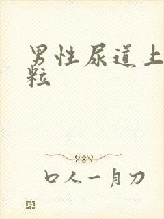 男性尿道上有肉粒