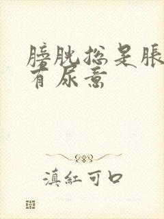 膀胱总是胀胀的有尿意