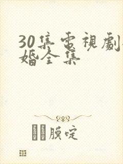 30集电视剧裸婚全集