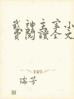 武神主宰小说免费阅读全文