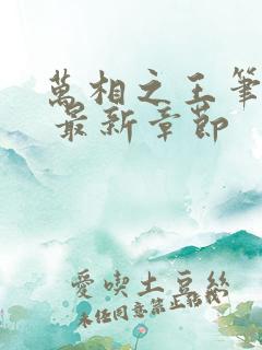 万相之王笔趣阁 最新章节