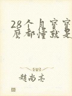 28个月宝宝什么都懂就是不说话