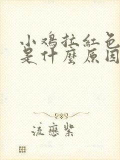 小鸡拉红色粪便是什么原因