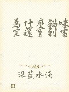 为什么猫咪绝育完还会到处拉尿