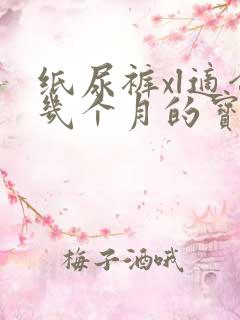 纸尿裤xl适合几个月的宝宝