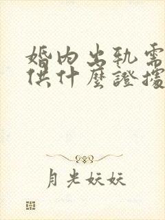 婚内出轨需要提供什么证据