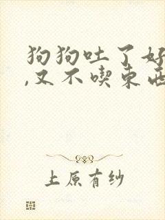 狗狗吐了好几天,又不吃东西,怎么办