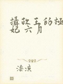 摄政王的极品医妃 六月