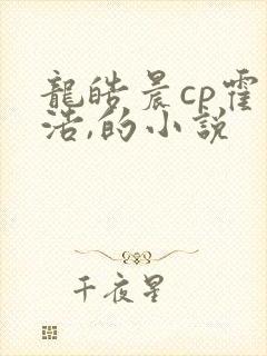 龙皓晨cp霍雨浩,的小说