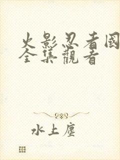 火影忍者国语版全集观看