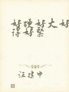 好硬好大好浪夹得好紧