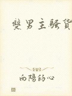 双男主骚货小说