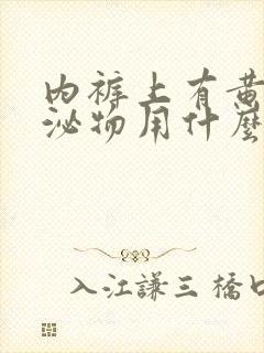 内裤上有黄色分泌物用什么药