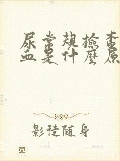 尿常规检查有隐血是什么原因