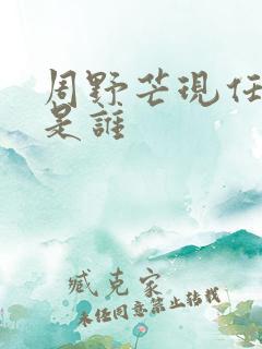 周野芒现任妻子是谁