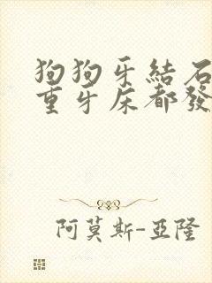 狗狗牙结石很严重牙床都发炎了怎么办