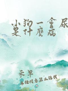 小狗一会尿一点是什么病