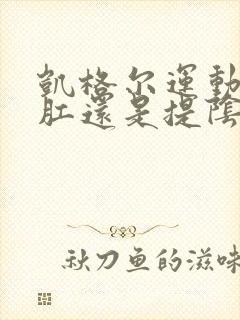 凯格尔运动是提肛还是提阴