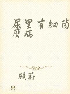 尿里有细菌是什么病