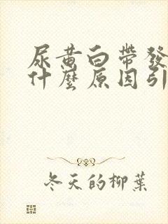 尿黄白带发黄是什么原因引起的