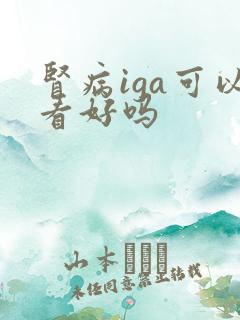 肾病iga可以看好吗