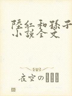 陆红和孙子肖文小说全文