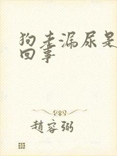 狗老漏尿是怎么回事