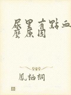 尿里有点血是什么原因