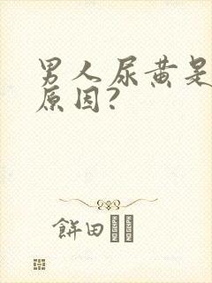 男人尿黄是什么原因?