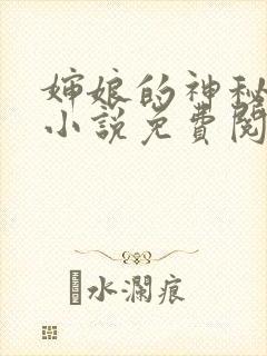 婶娘的神秘地带小说免费阅读