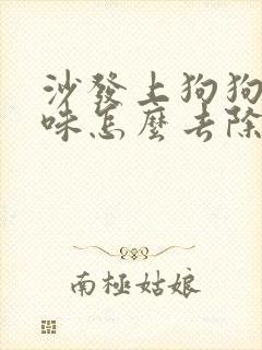 沙发上狗狗尿骚味怎么去除