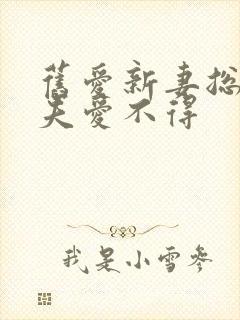 旧爱新妻总裁前夫爱不得