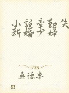 小说章节失身的新婚少妇
