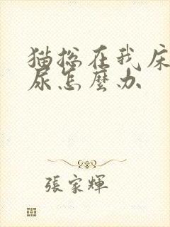 猫总在我床上拉尿怎么办