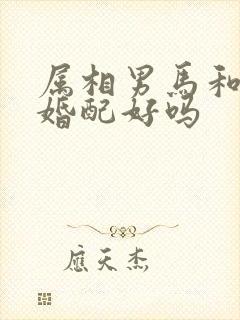 属相男马和女兔婚配好吗