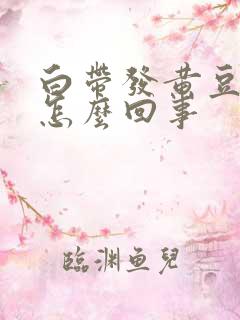 白带发黄豆腐渣怎么回事