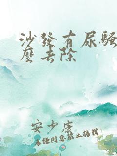 沙发有尿骚味怎么去除