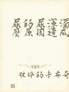 尿的尿浑浊是什么原因造成的