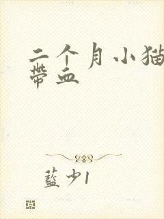 二个月小猫拉稀带血