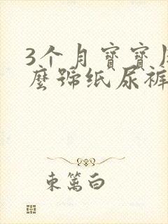 3个月宝宝用什么号纸尿裤