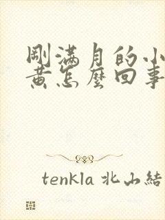 刚满月的小狗尿黄怎么回事